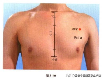 足太阴脾经经穴——周荣穴