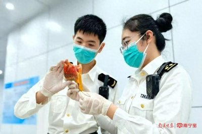 东兴海关查获五个盔犀鸟头骨,系国家一级保护动物