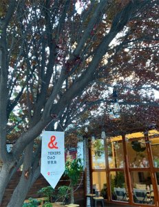 ​“最性感黄蓉”林妍柔晒写真，黄色露脐装米色短裤，秀出丰满身材