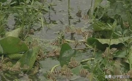 中国最严重一次闹鬼(盘点中国几百年来最诡异的灵异事件)-