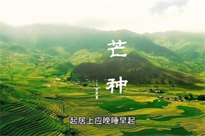 芒种应该注意什么(芒种要做什么事情)