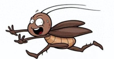 ​消灭蟑螂很简单，教你几个“土方法”，安全又有效