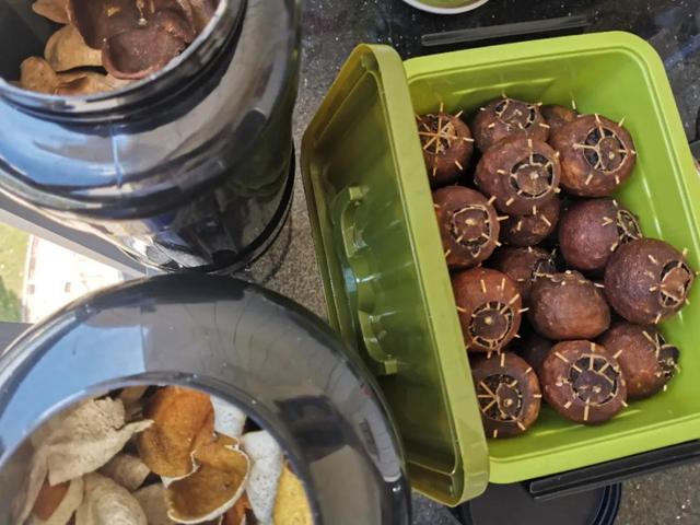 陈皮是怎么做出来的（手把手教你制作陈皮的方法）(6)