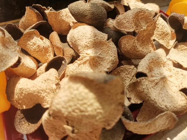 陈皮是怎么做出来的（手把手教你制作陈皮的方法）(7)