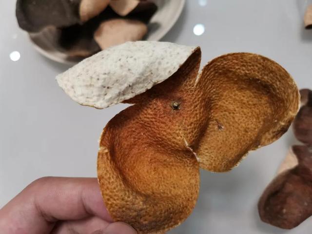 陈皮是怎么做出来的（手把手教你制作陈皮的方法）(3)