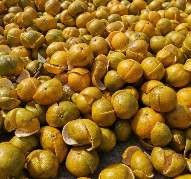 陈皮是怎么做出来的（手把手教你制作陈皮的方法）(2)