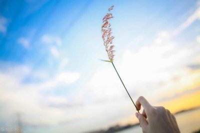 ​陈永佳散文风一样的男人（陈永佳散文风一样的男人）