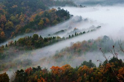 ​王守仁《蔽月山房》赏析