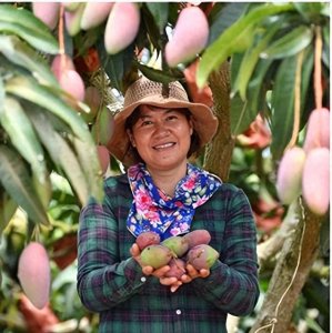 ​广西有什么特产水果最有名？广西十大最有名的水果，你吃过几种？