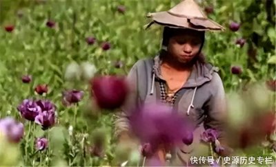 ​她是金三角最美毒枭，被称为“罂粟皇后”，湄公河血案后离奇失踪