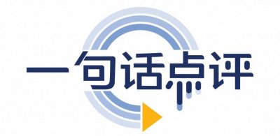 ​一句话点评1月中大型SUV：理想没输，问界没赢