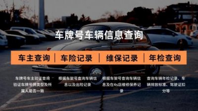 ​车主查询车辆信息（免费在线查车 内部信息一键查询）