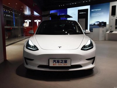 ​特斯拉只有一个踏板吗（特斯拉的单踏板模式车型有何意义）