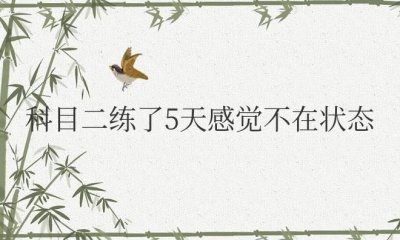 ​科目二练了5天感觉不在状态正常吗