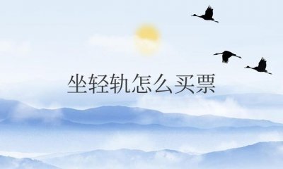 ​第一次坐轻轨怎么买票具体流程