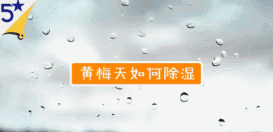 黄梅天家里潮湿怎么办