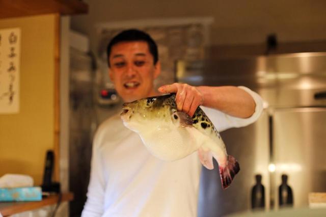 河豚的毒素存在什么地方(明知道河豚有致命毒素)(15)