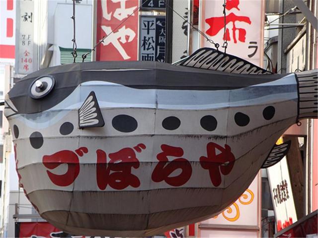 河豚的毒素存在什么地方(明知道河豚有致命毒素)(11)