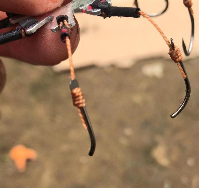 河豚的毒素存在什么地方(明知道河豚有致命毒素)(5)