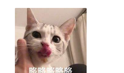 der什么意思,东北话derder是什么意思图6