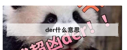 der什么意思,东北话derder是什么意思图3