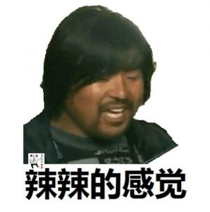 ​面筋哥：从喂猪到流浪歌手，从表情包到国民岳父