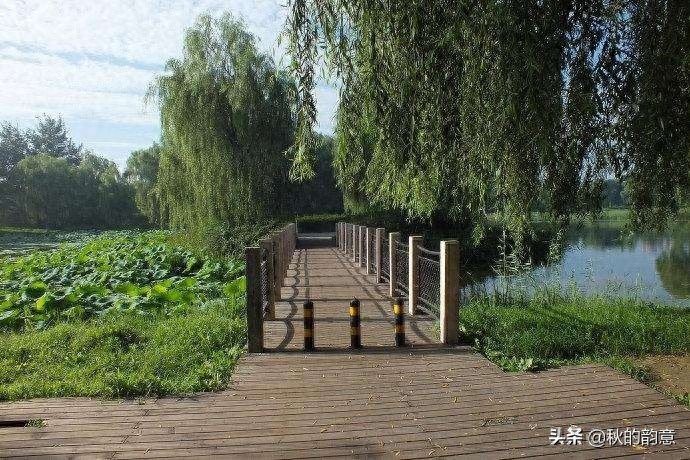 北京将府公园是电子城、酒仙桥、将台地区最大的一处公园绿地