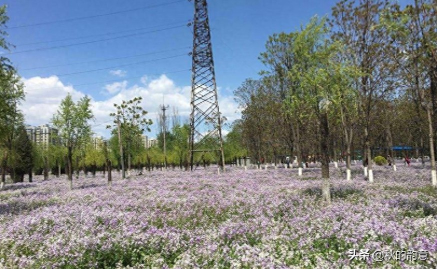 北京将府公园是电子城、酒仙桥、将台地区最大的一处公园绿地