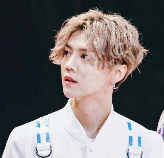 当男明星泡面头，每一个都帅到想舔屏，但是他的为什么像“鸡窝”