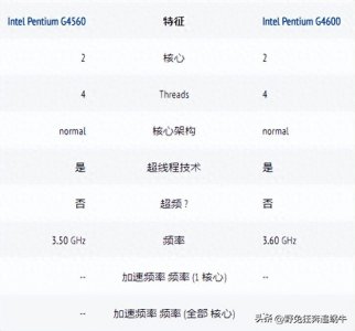​为什么我选择G4600而不是G4560，7代奔腾核显居然比N100还强
