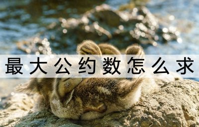 ​最大公约数怎么求？这个方法可以不用动脑子