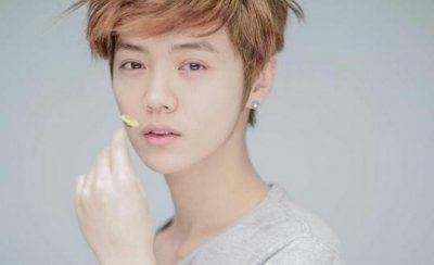 ​鹿晗加盟春晚 粉丝纷纷力荐唱《勋章》