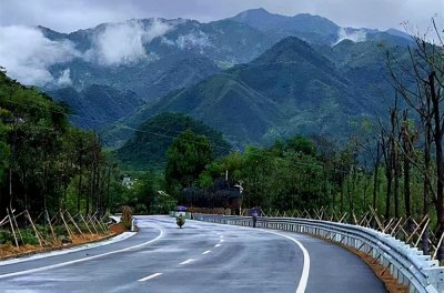 ​莽山烙铁头称世界上最贵的毒蛇，究竟是为什么一条价值上百万？