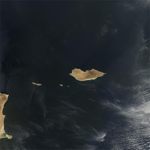 世界自然遗产 也门索科特拉岛 地球上最像外星球的奇幻之地