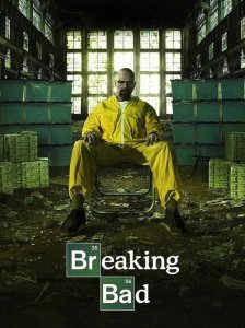 ​绝命毒师结局（最终的结果是老白复仇成功）