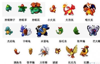 ​《宠物小精灵》进化图鉴，总有你不知道的哦