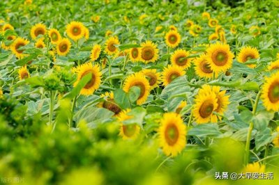 ​广州旅游攻略 广州旅行十大必去打卡地点 景点名胜古迹排行榜