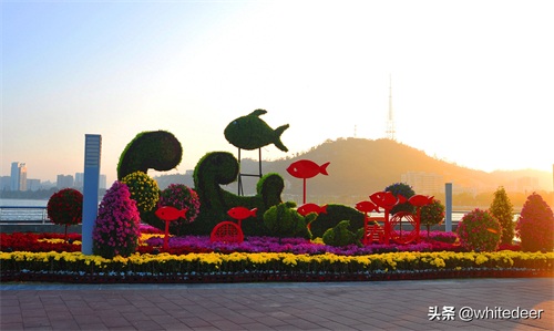 珠海的城市山海公园 - 野狸岛