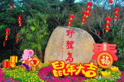 ​珠海的城市山海公园 - 野狸岛