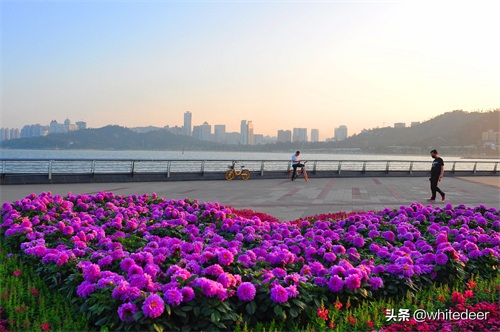 珠海的城市山海公园 - 野狸岛