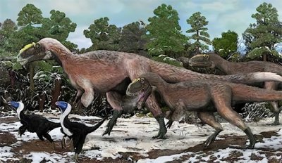 ​白垩纪中华大地的北境之王——华丽羽王龙