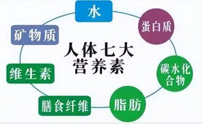 ​什么是营养，它如何影响我们的身体，我们该如何科学摄取营养呢？