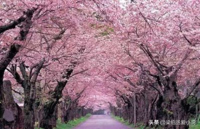 ​关于湖北省人气旺必去的十大旅游景点