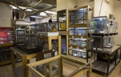 ​最牛宠物店，专门出售异国动物，动物种类堪比动物园