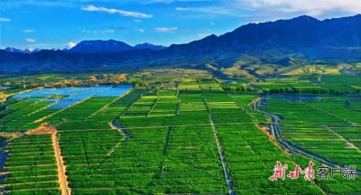 ​【甘快看】天水花牛苹果意外“抢镜”！甘肃“甘味”凭啥香飘四海？