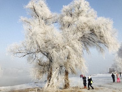​冬季旅行最推荐的十大赏雪目的地，快喊朋友一起来吧