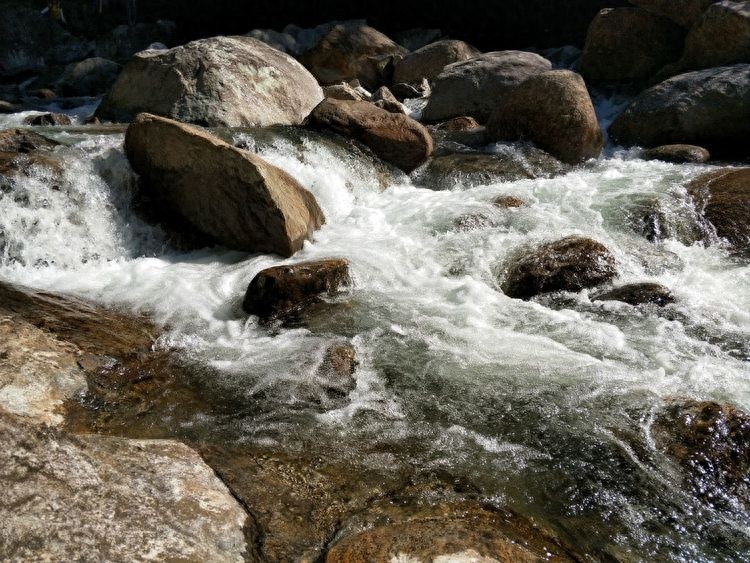 甜柿,晚秋佳果,即摘即吃,甜脆爽口,清香宜人