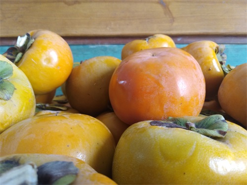 甜柿,晚秋佳果,即摘即吃,甜脆爽口,清香宜人