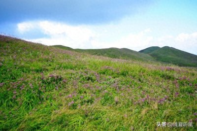 ​贵州省旅游景点——毕节市十大旅游景点（下）