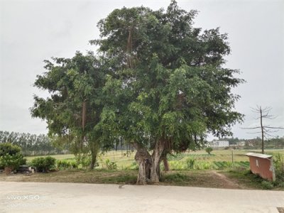 ​虚岁与周岁之争，虚岁与周岁的不同。